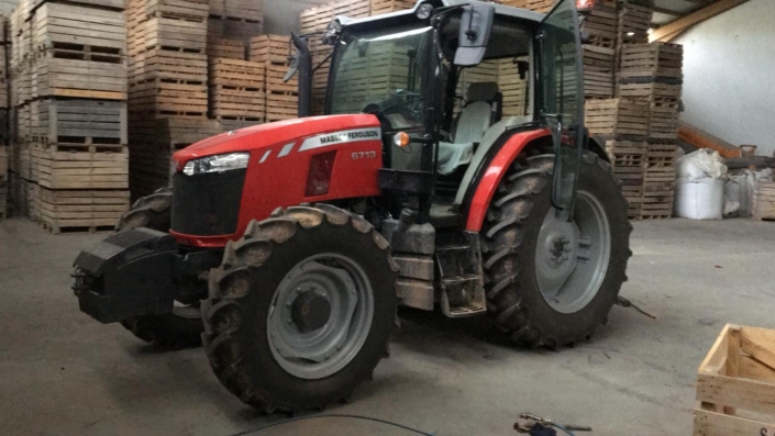 venta de ajo y cebolla Producción Agrícola
