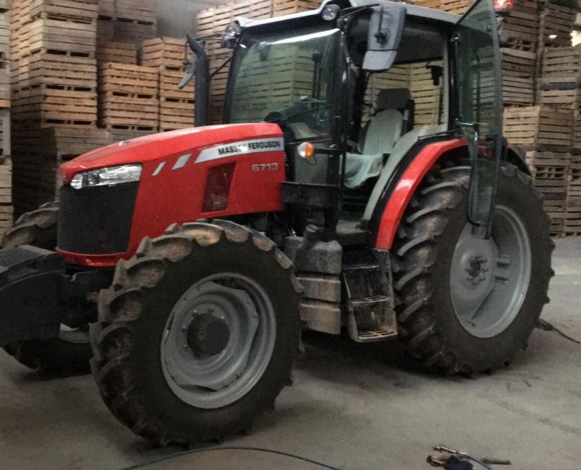 venta de ajo y cebolla Producción Agrícola